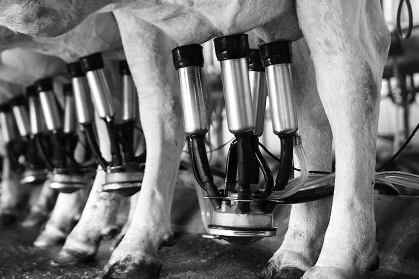 Oxi-Tech Solutions Limited